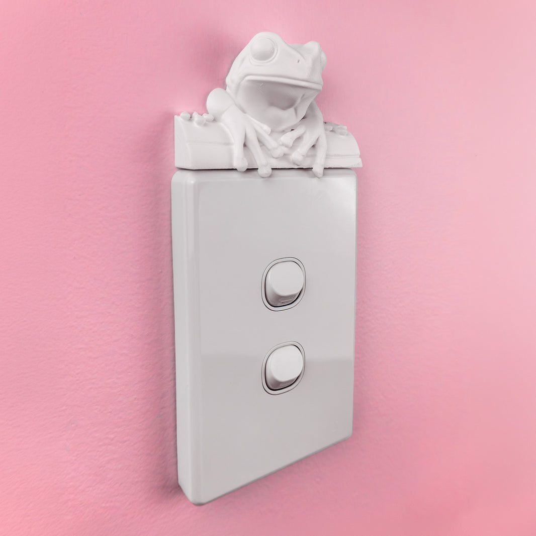 Frog Light Switch Cover