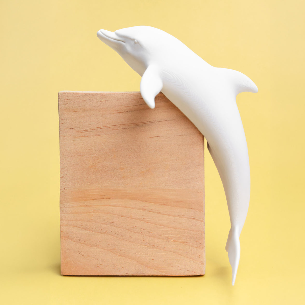 Dolphin Light Switch Cover