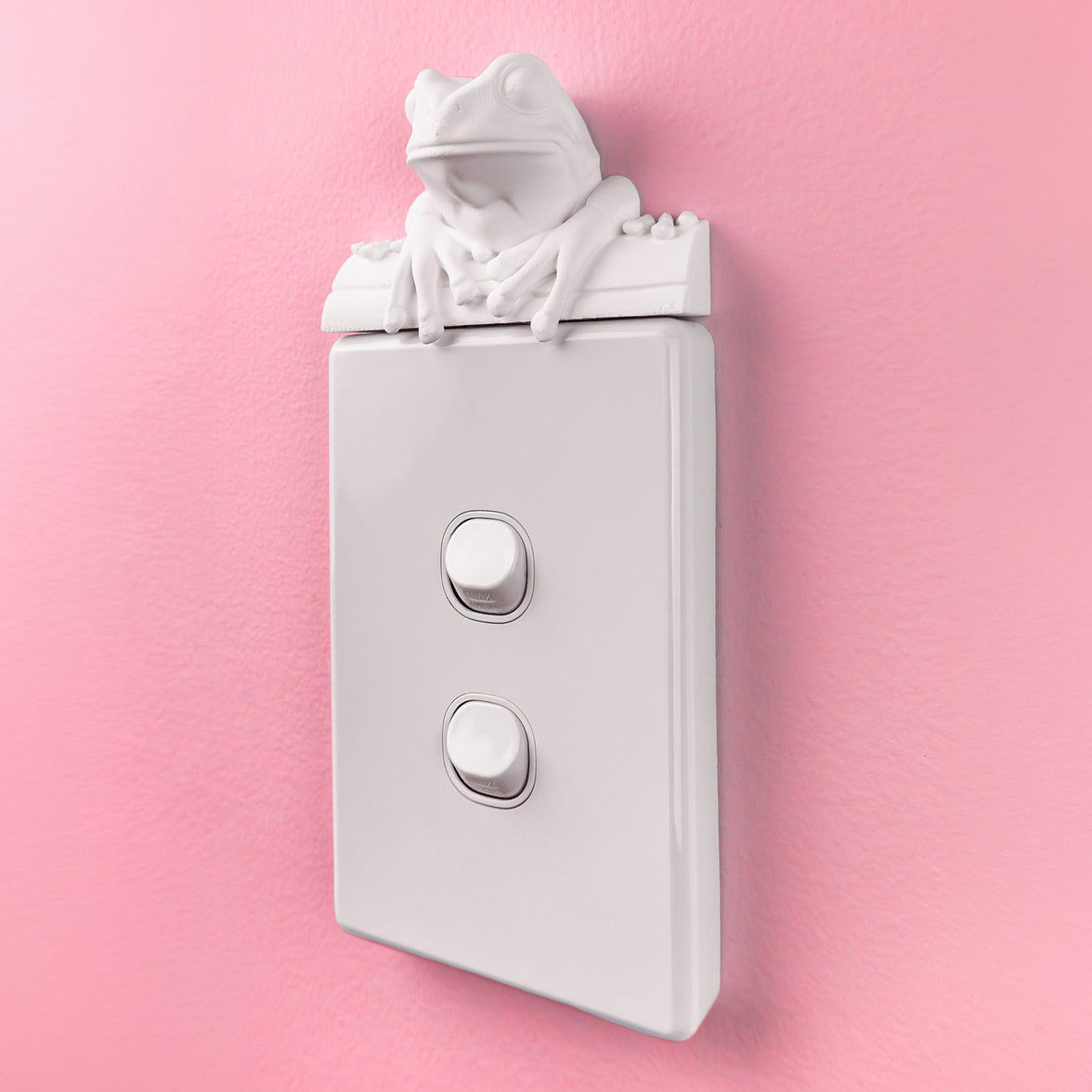 Frog Light Switch Cover