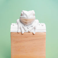 Frog Light Switch Cover