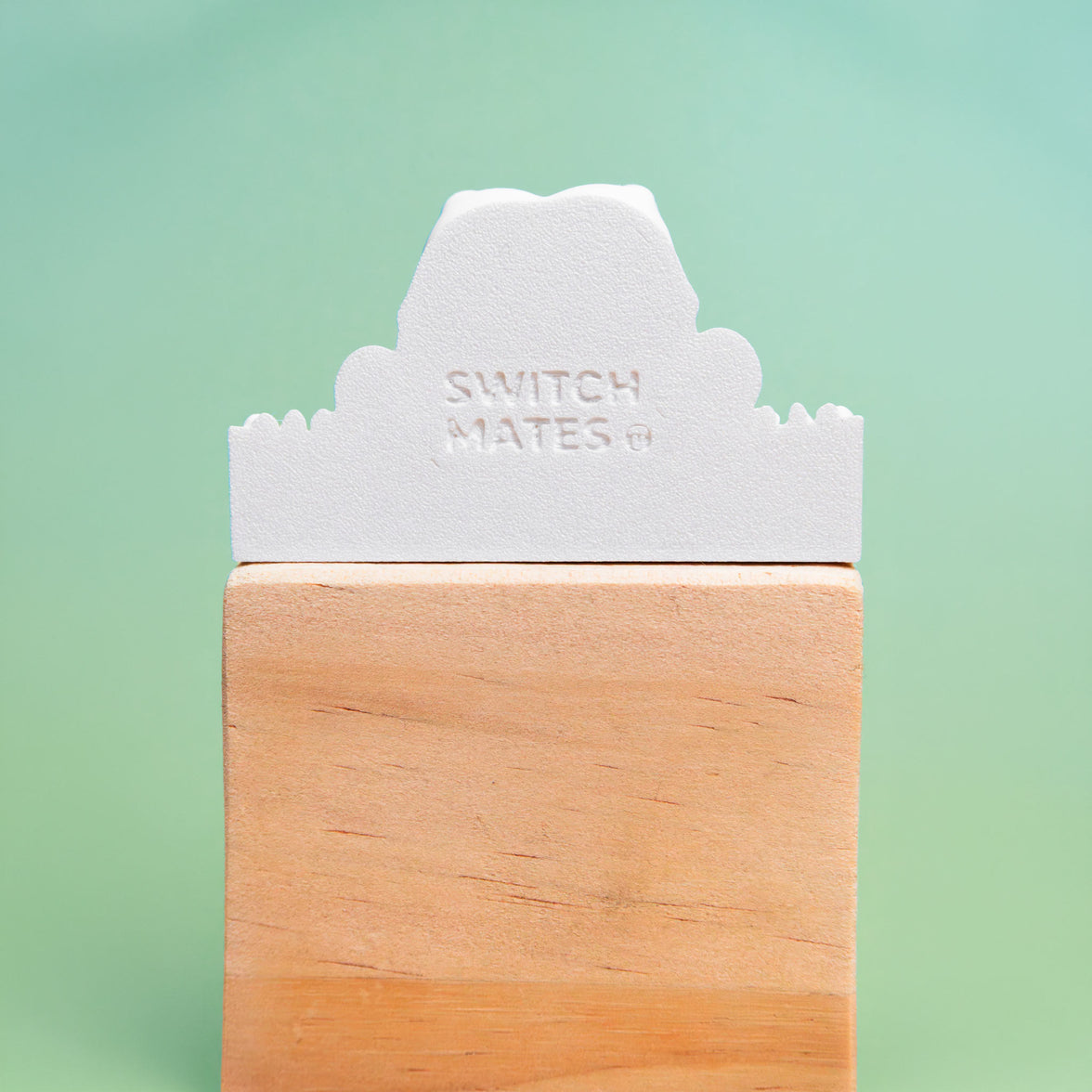 Frog Light Switch Cover