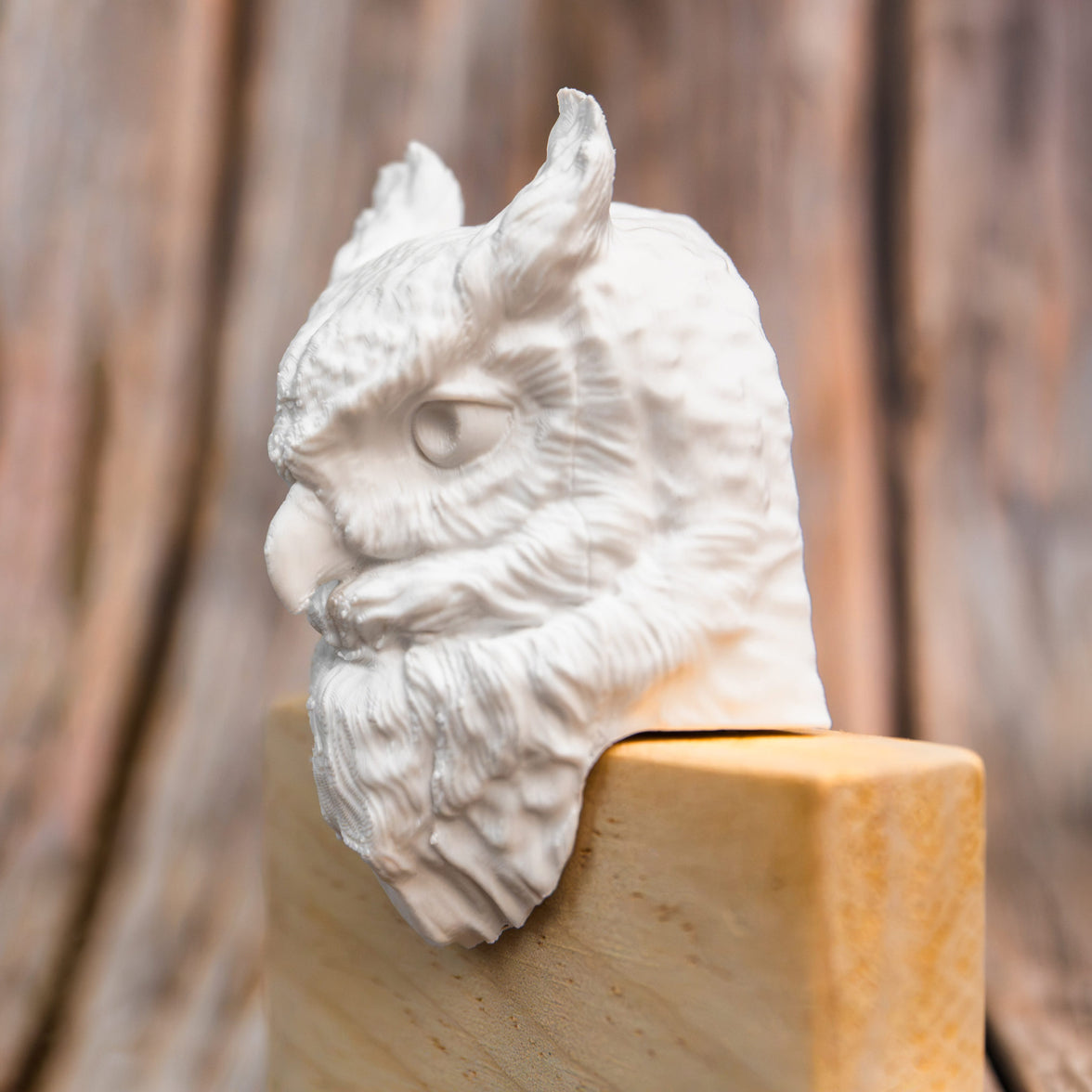 Owl Light Switch Cover