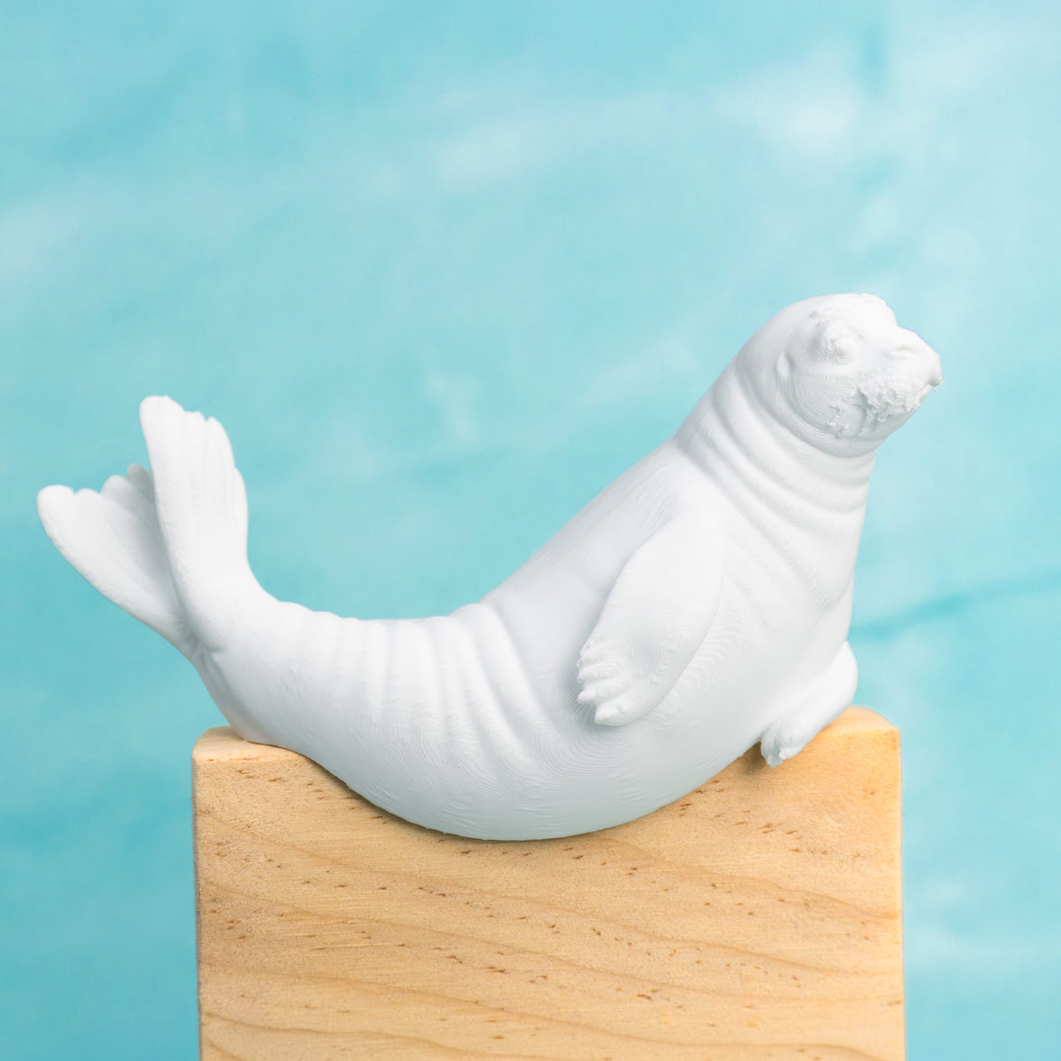 Seal Light Switch Cover