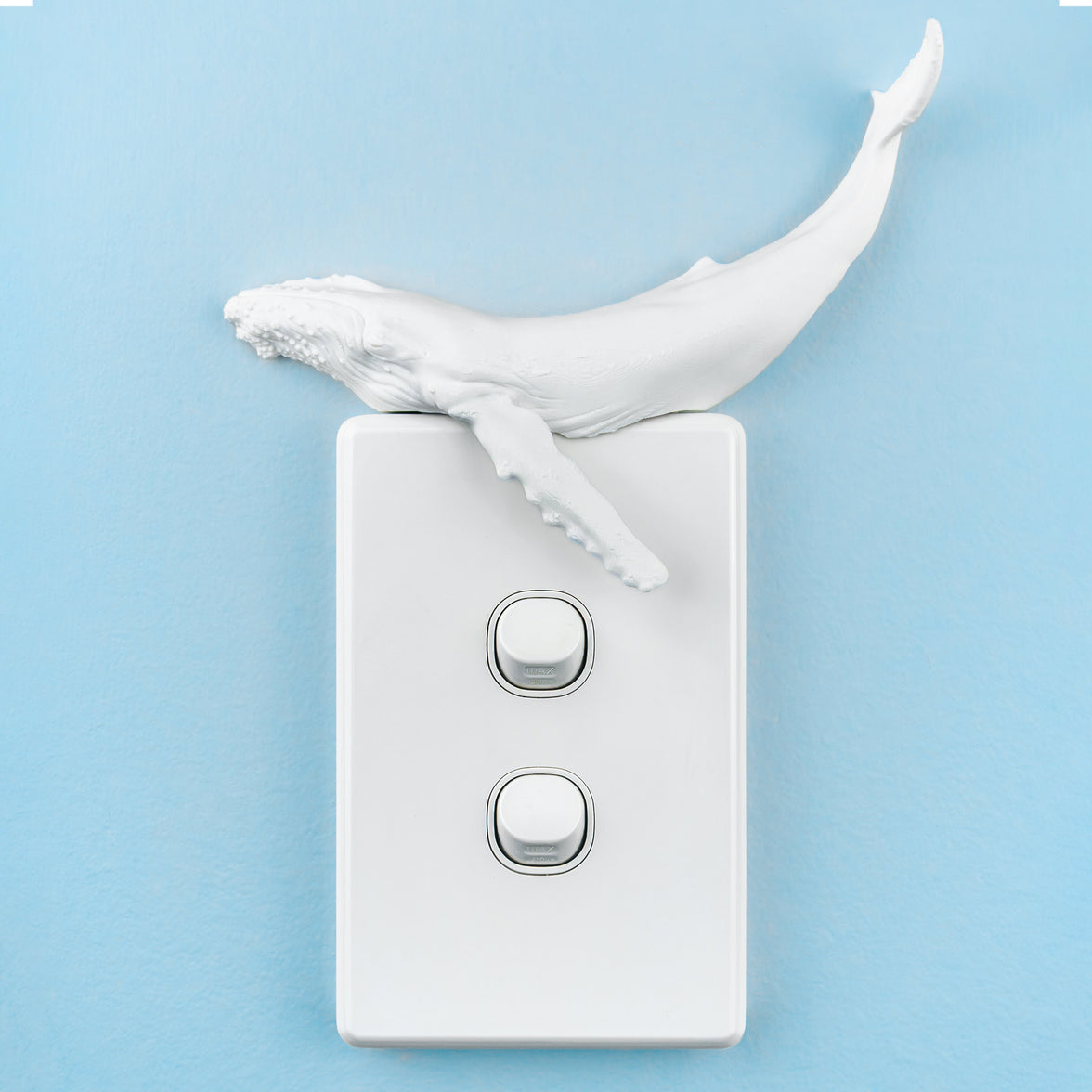 Humpback Whale Light Switch Cover