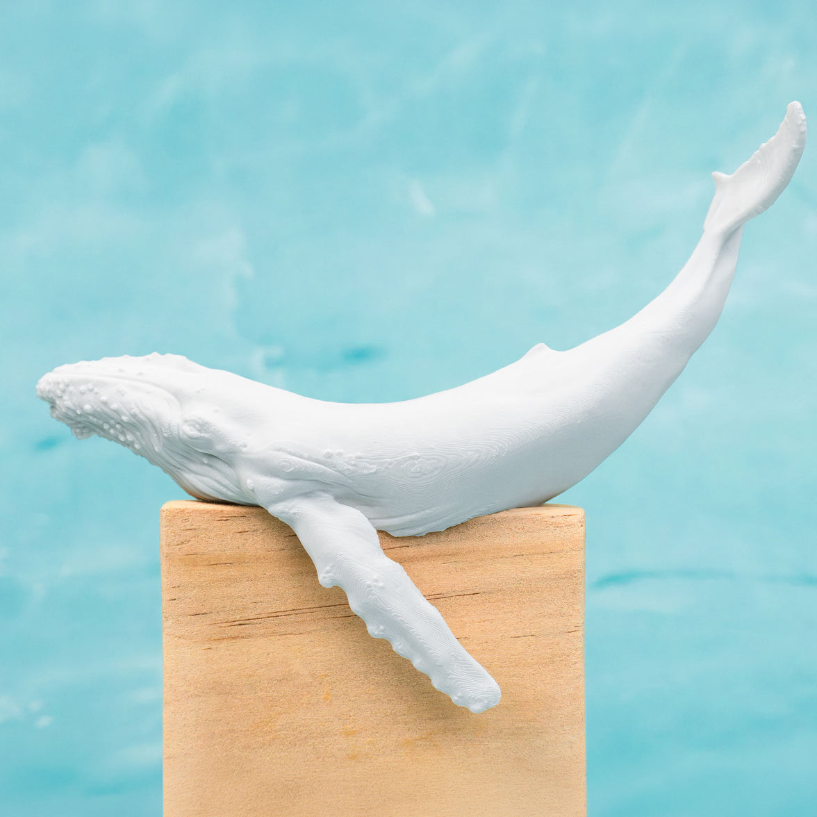 Humpback Whale Light Switch Cover
