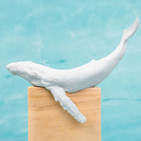 Humpback Whale Light Switch Cover