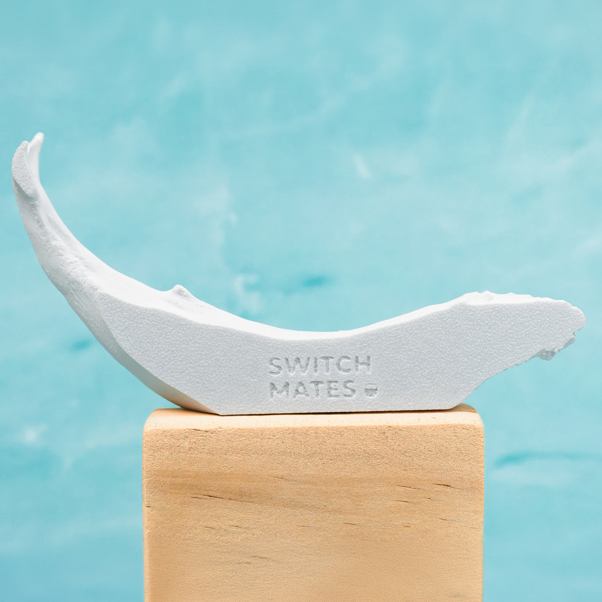 Humpback Whale Light Switch Cover